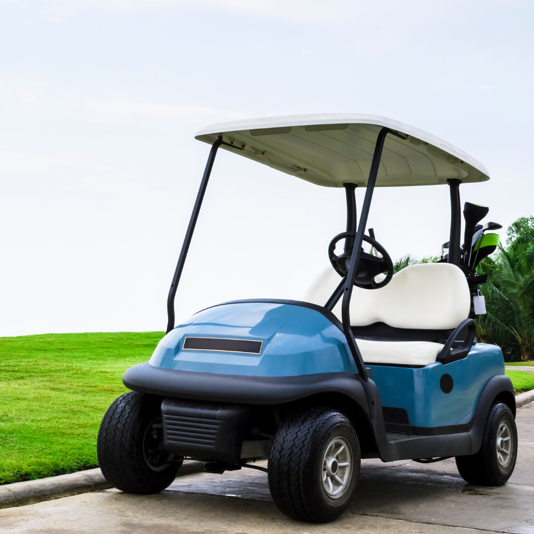 2023 Electric Golf Cart Rebate VPPSA